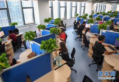 内蒙古乌兰察布:打造“草原云谷” 提升互联网产业发展